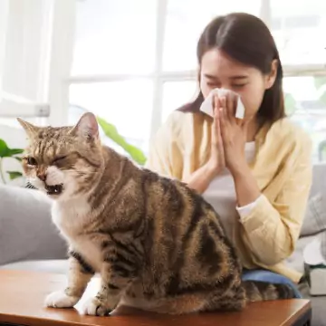 Air Purifiers Bloomington IL 