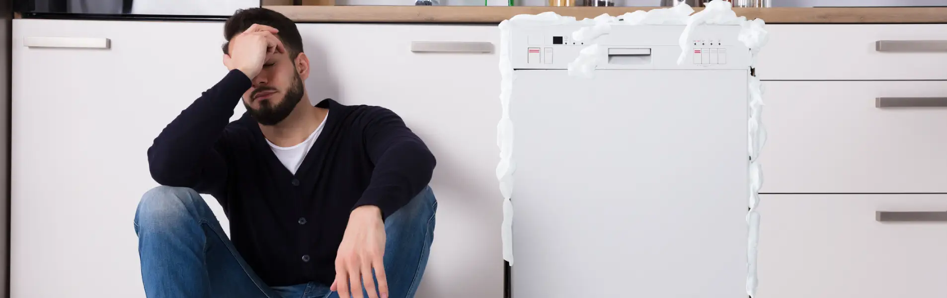 Dishwasher Repair